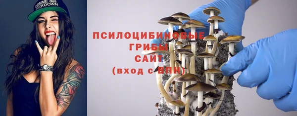 СК Алексин