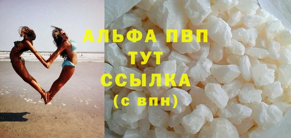 СК Алексин