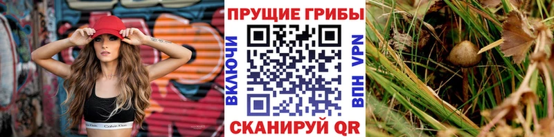 Псилоцибиновые грибы мицелий  Котовск 